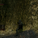 Wall? What wall?